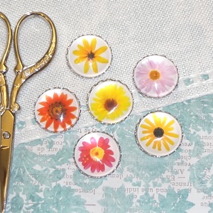 Daisy Assorted